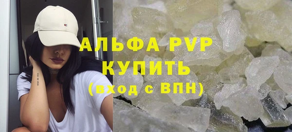 PSILOCYBIN Чердынь