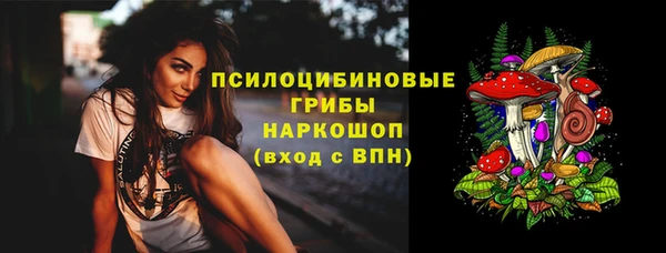 мяу мяу мука Новодвинск