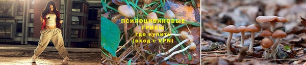 COCAINE Новозыбков